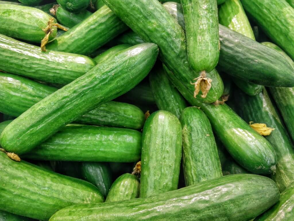 farm investment own a farm cucumber farm 2