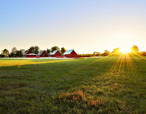 6 Top Reasons You Should Invest in a Farm in Nigeria in 2022